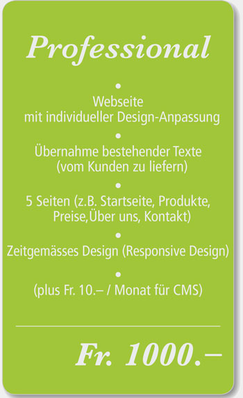 Professional Webdesign Angebot