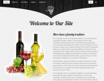 Weingut Template
